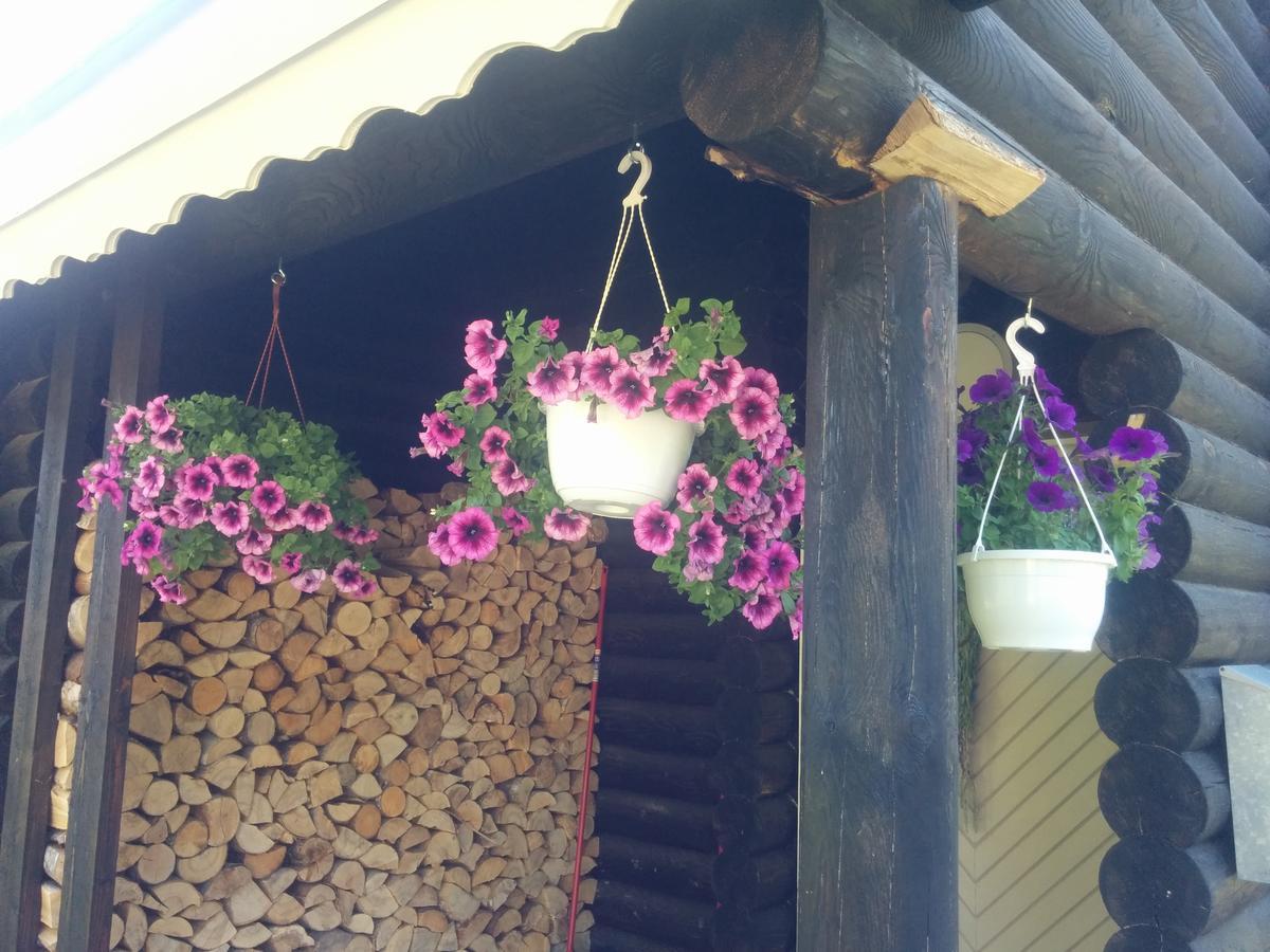 Affittacamere Safari House Otepää Esterno foto